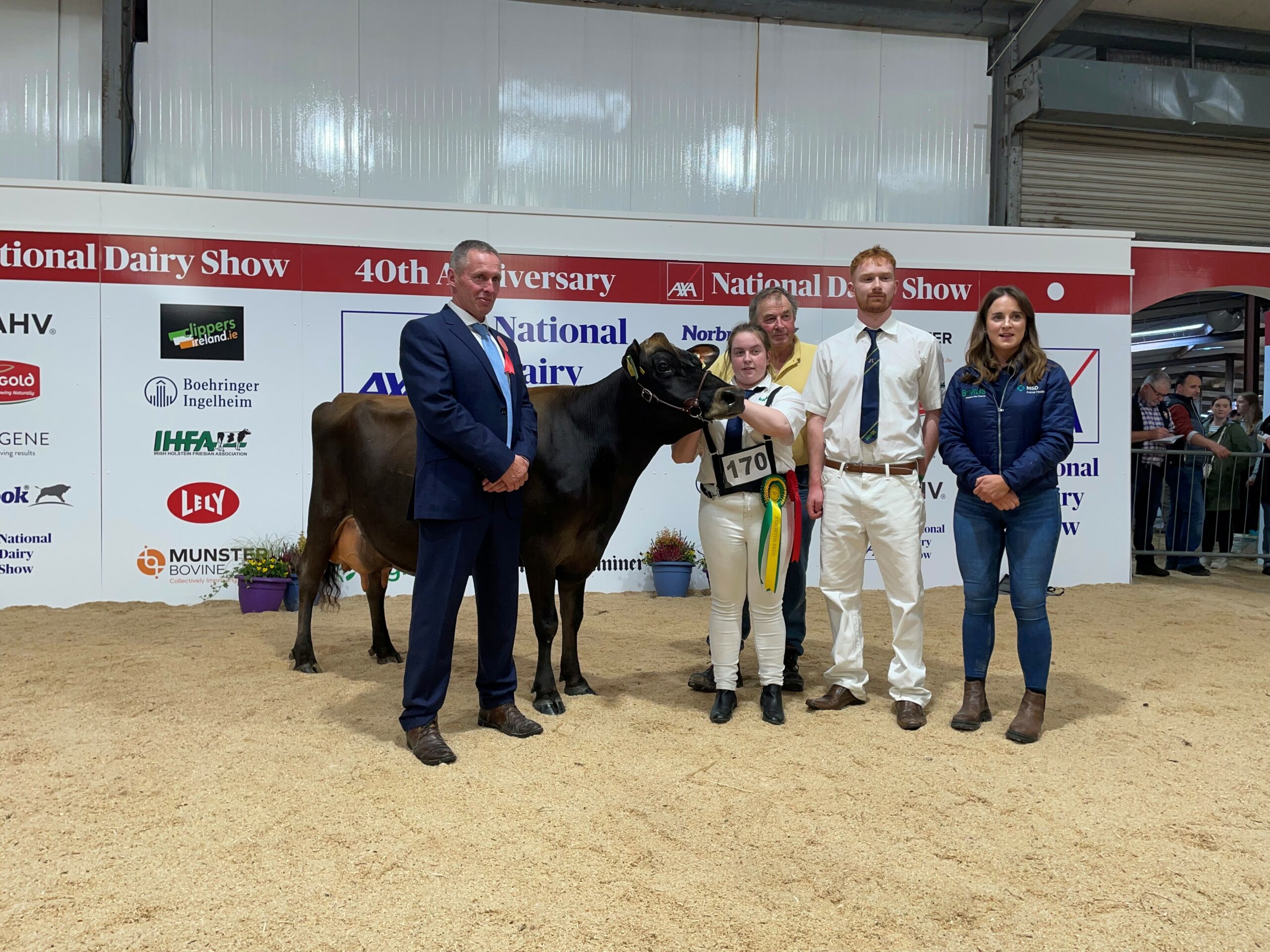 Champion Jersey cow in milk: Ballyealan Tequilla Louise, exhibited by Tom Lynch