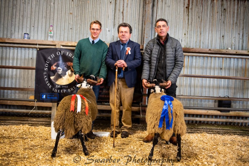 Champion from Billy Grant and reserve champion from Gerry Rice. Image source: Swarber Photography