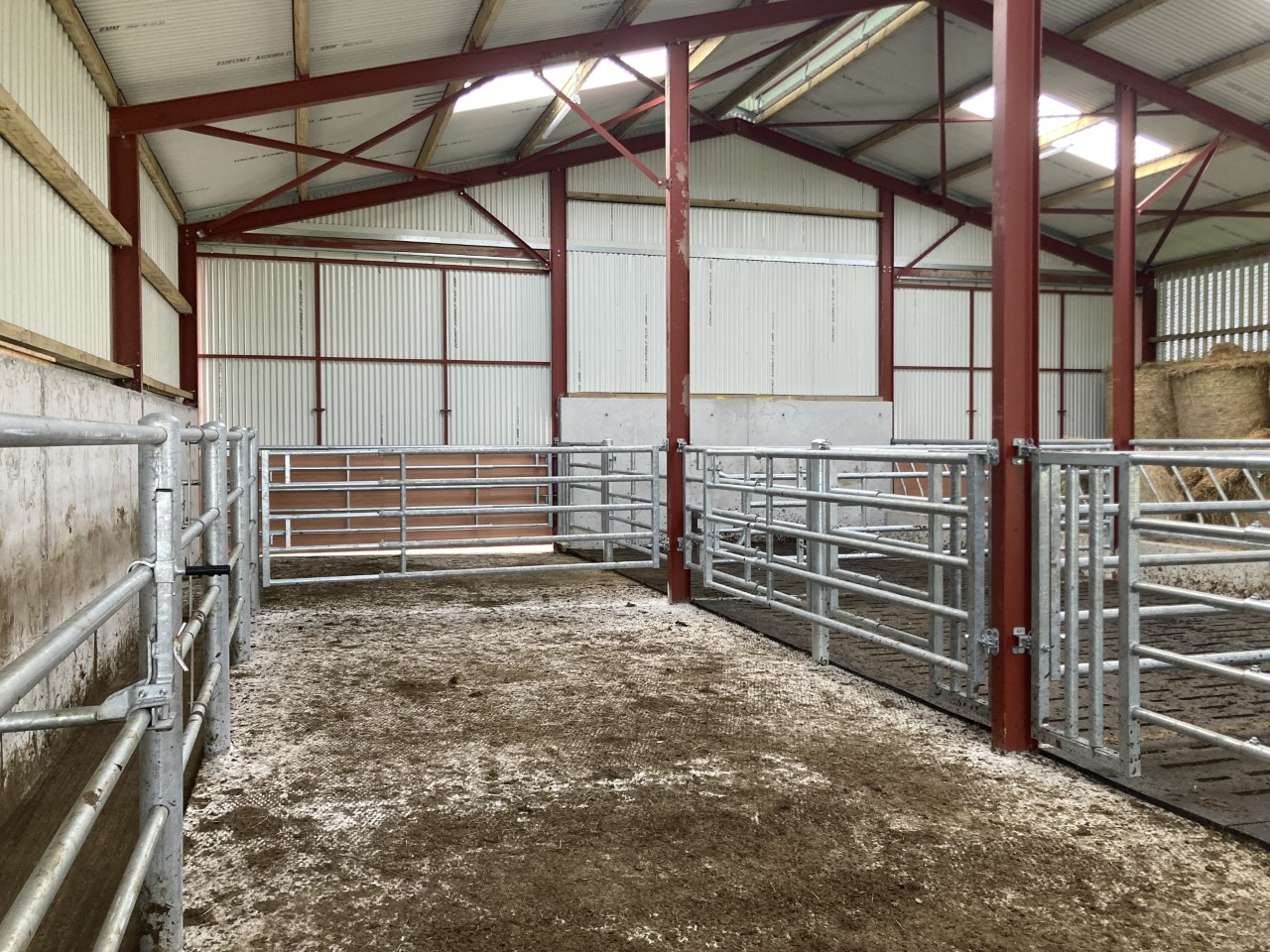 The gate splitting these two pens can swing back in order to be able to walk up and down the crush uninterrupted