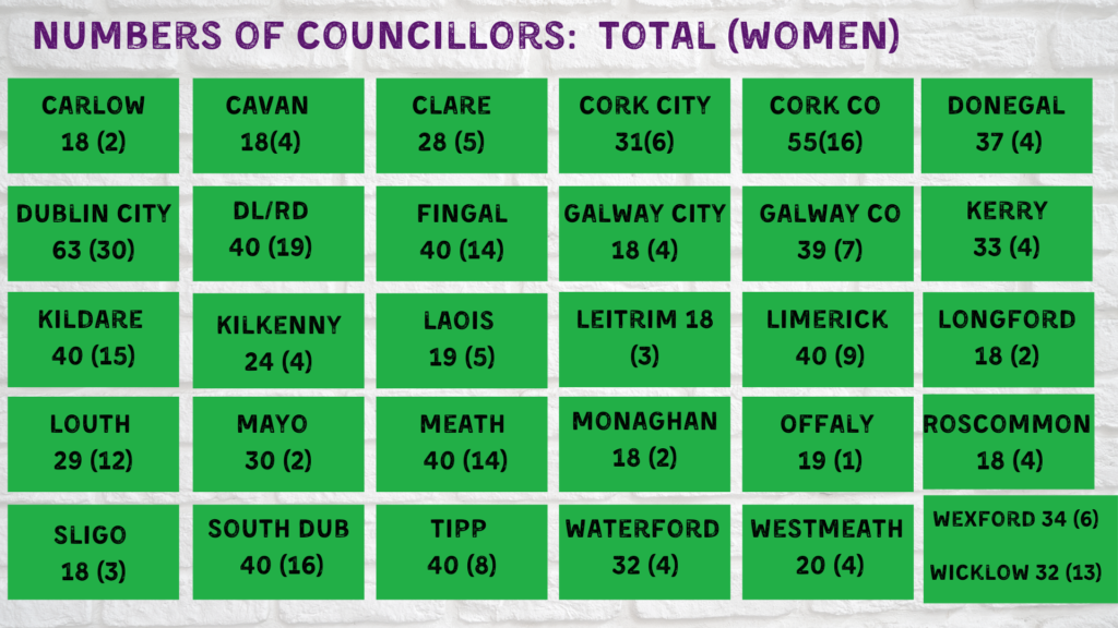 Total number of councillors in Irish constituencies with total number of female councillors in brackets. Image: See Her Elected