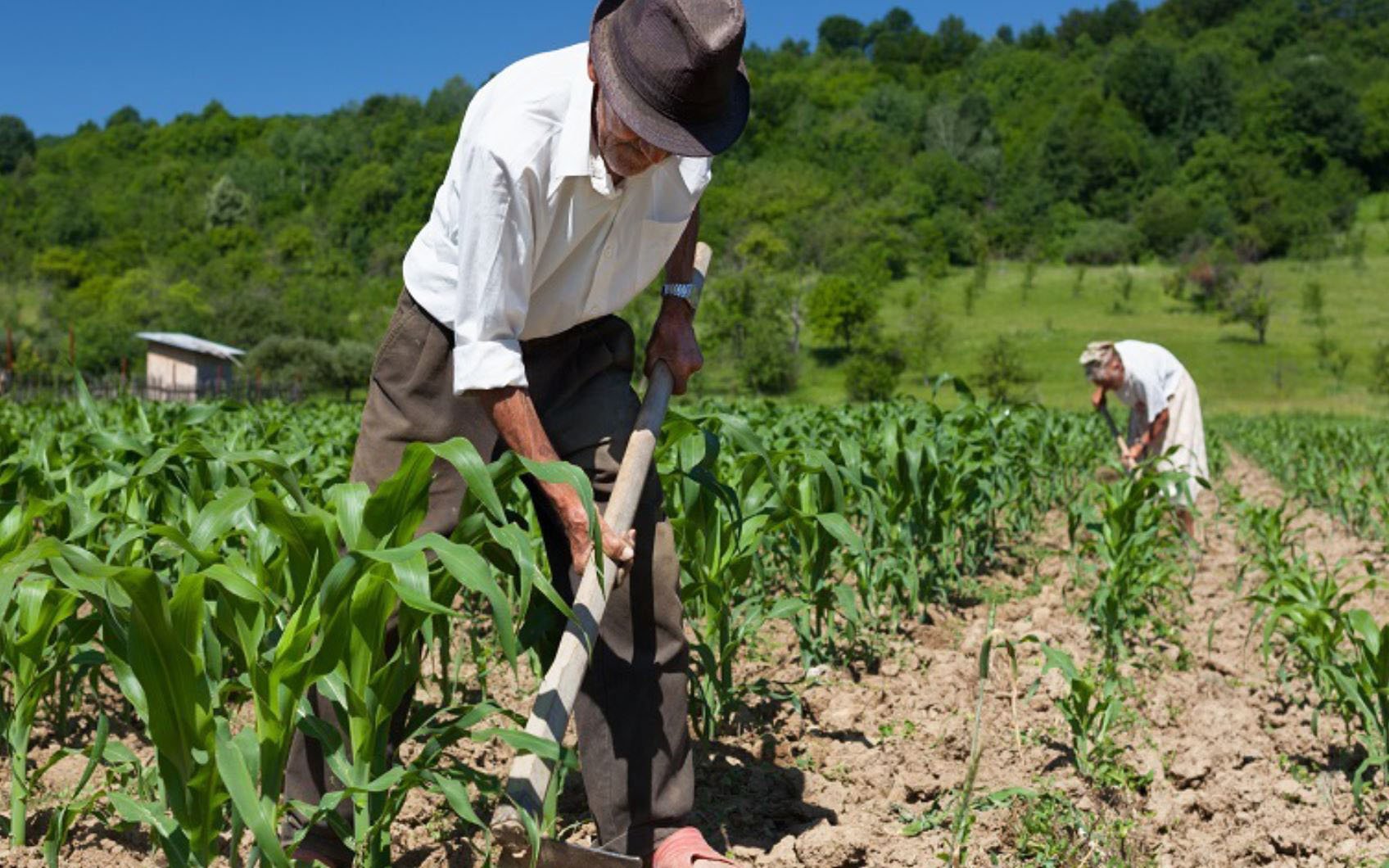 Simply moving on from hand tools would represent a leap forward in technology in many regions of the world