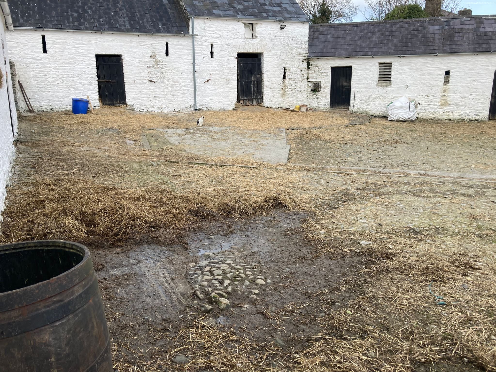 Before the cobble border was restored