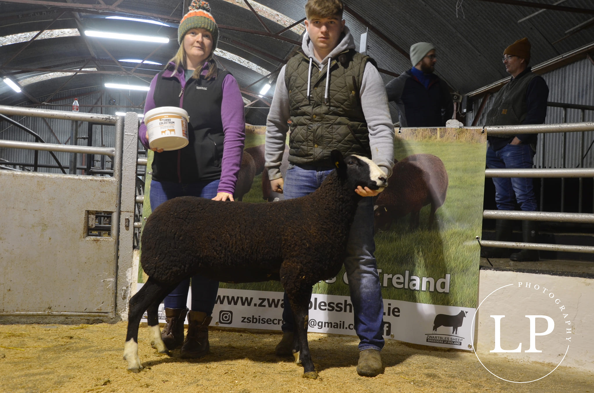 Cummerhill Kaia sold for €850. Image source: Lauren Payne Photography
