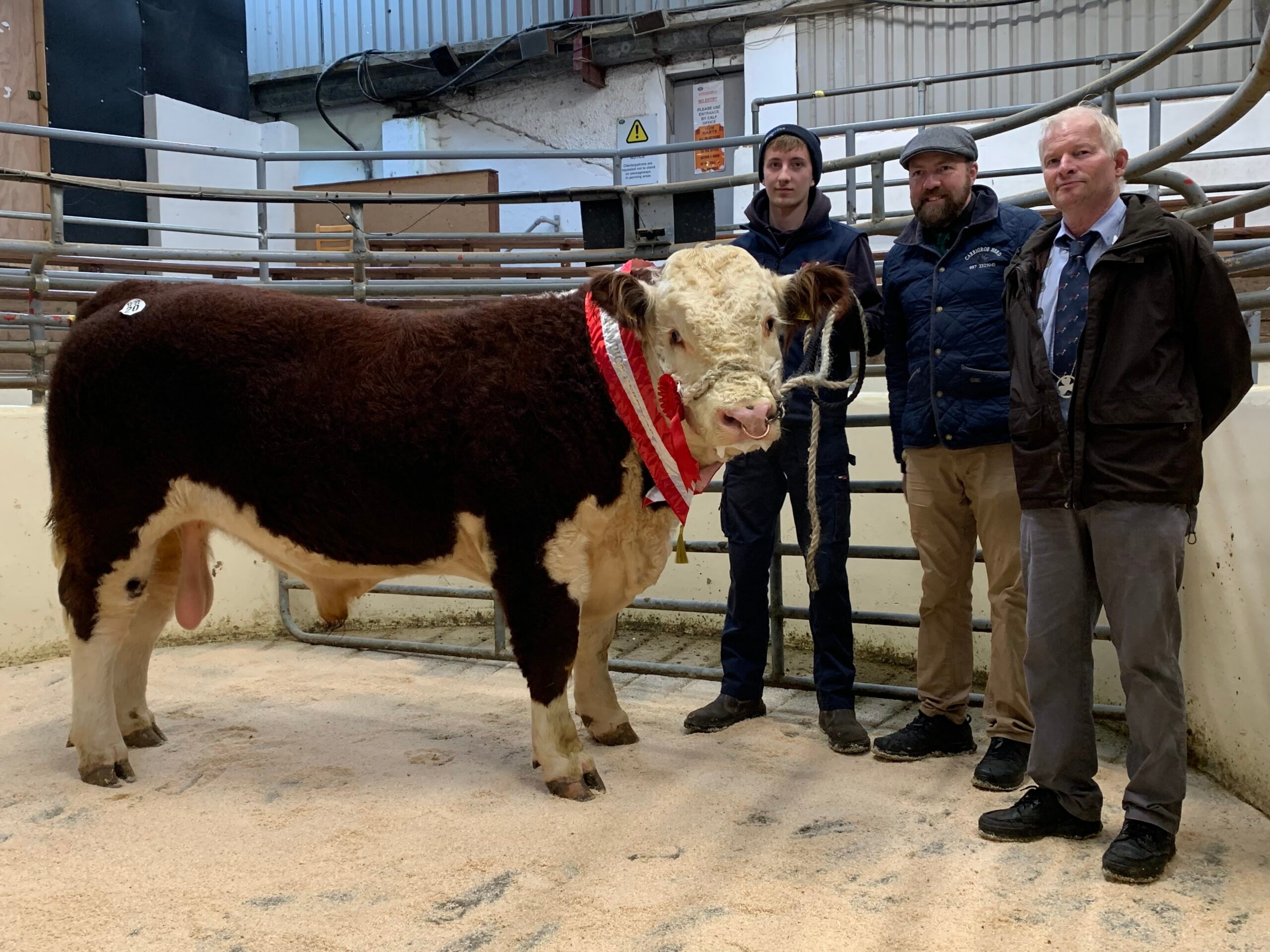 Show champion Baleen Account pictured with Dan Farrell, John Appelbe and IHBS president Adrian Bateman