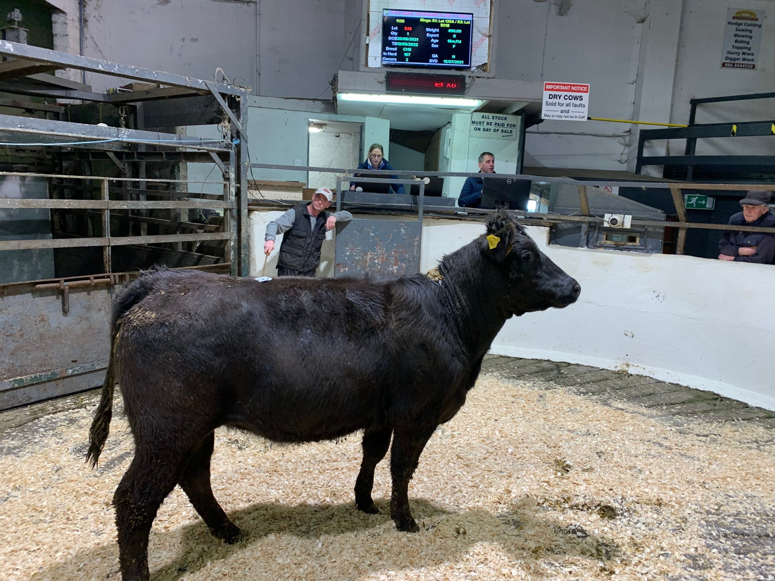 This 455kg Limousin-cross heifer sold for €950 or €2.08/kg