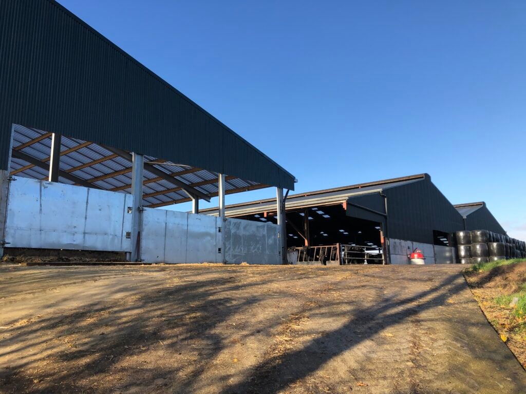 The new shed with transparent roof sheeting (left)