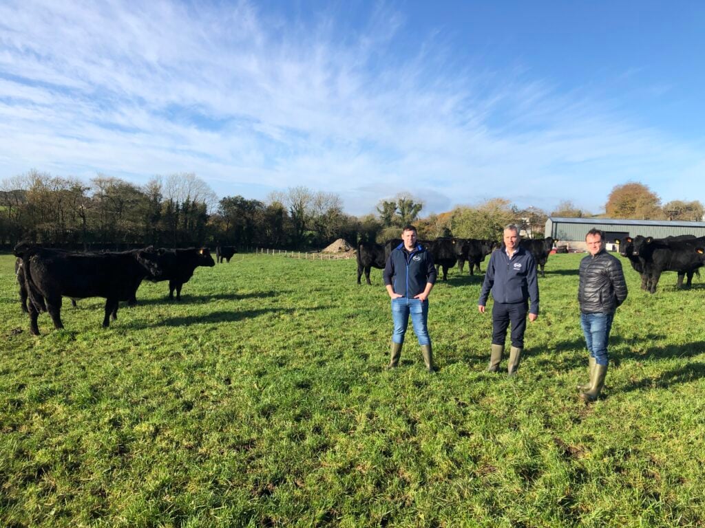 Foyle Food Group’s Andrew Clarke and Wayne Acheson pictured with Aberdeen Angus Quality Beef producer group’s Eamon Kelly, in-calf Angus-cross heifers in the background