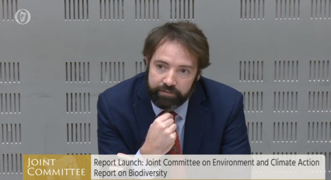 Joint Committee on Environment and Climate Action, cathaoirleach, Deputy Brian Leddin
