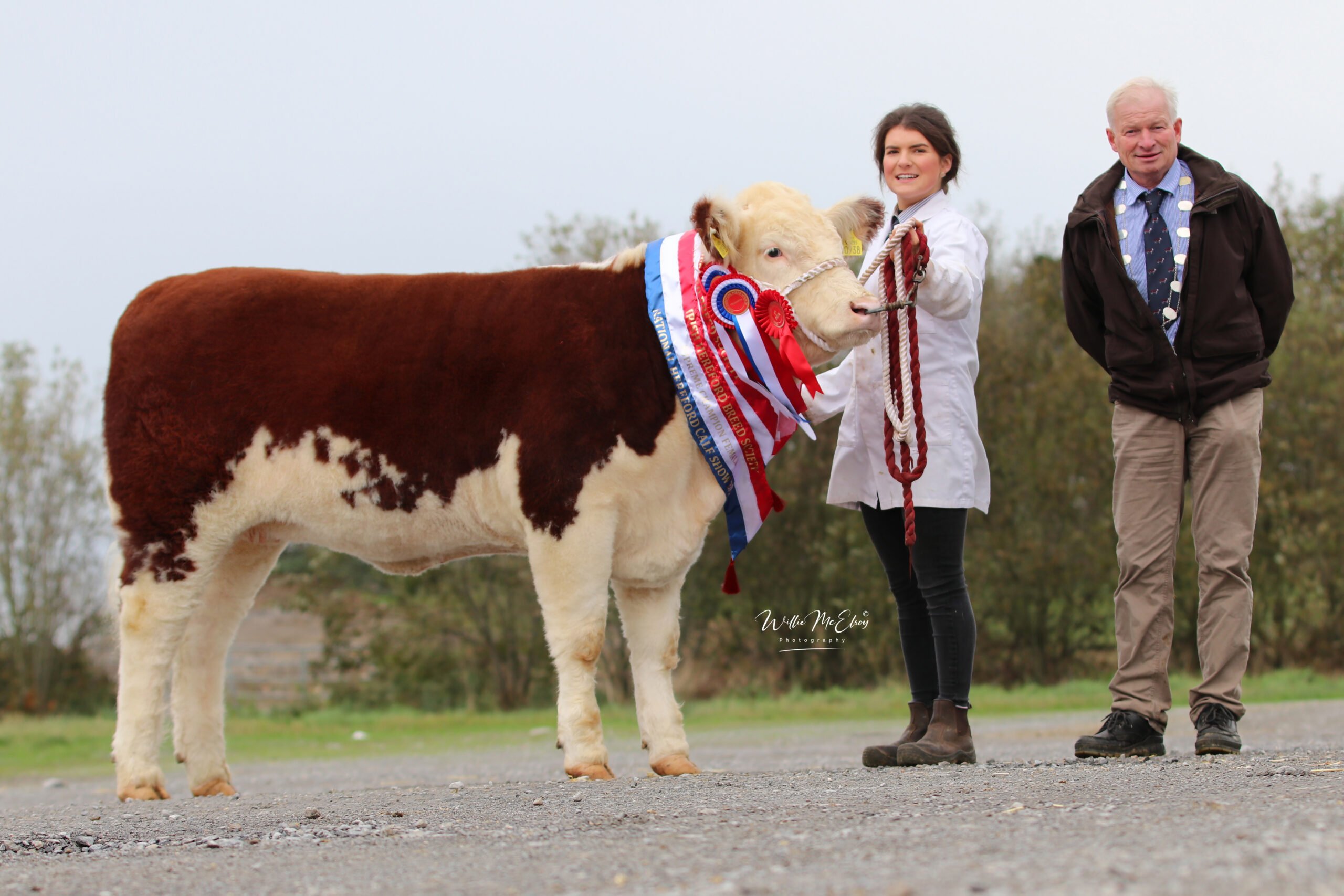 Philip and Catherine Smyth's Ardmulchan Clover 938 took the overall Female Champion Calf title
