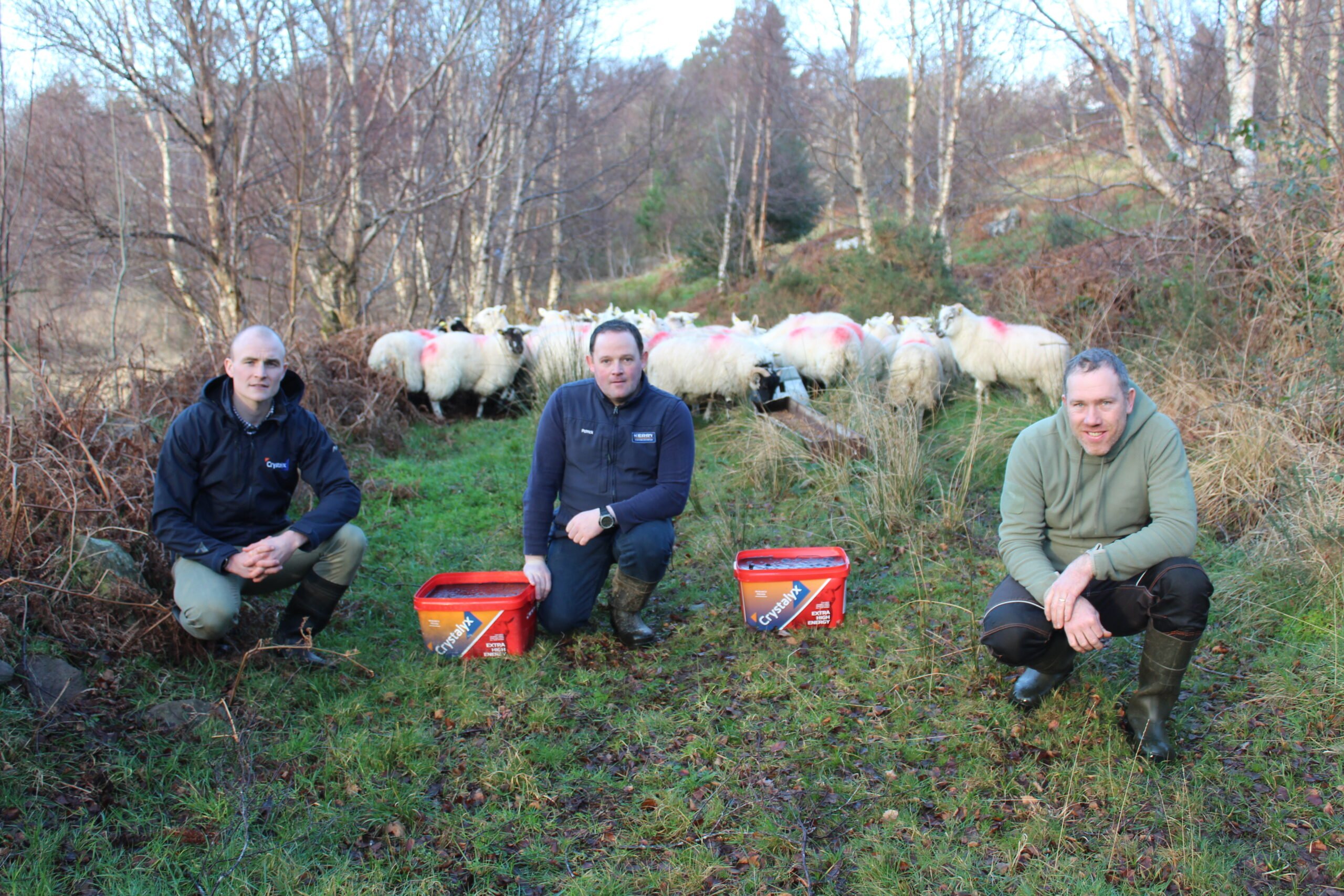 Luke Morgan Crystalyx, Patrick O’Sullivan Kerry Agri, Michael O'Sullivan Sheep Farmer