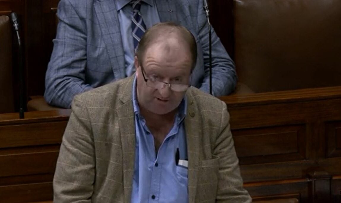 Independent TD for Cork south-west Michael Collins