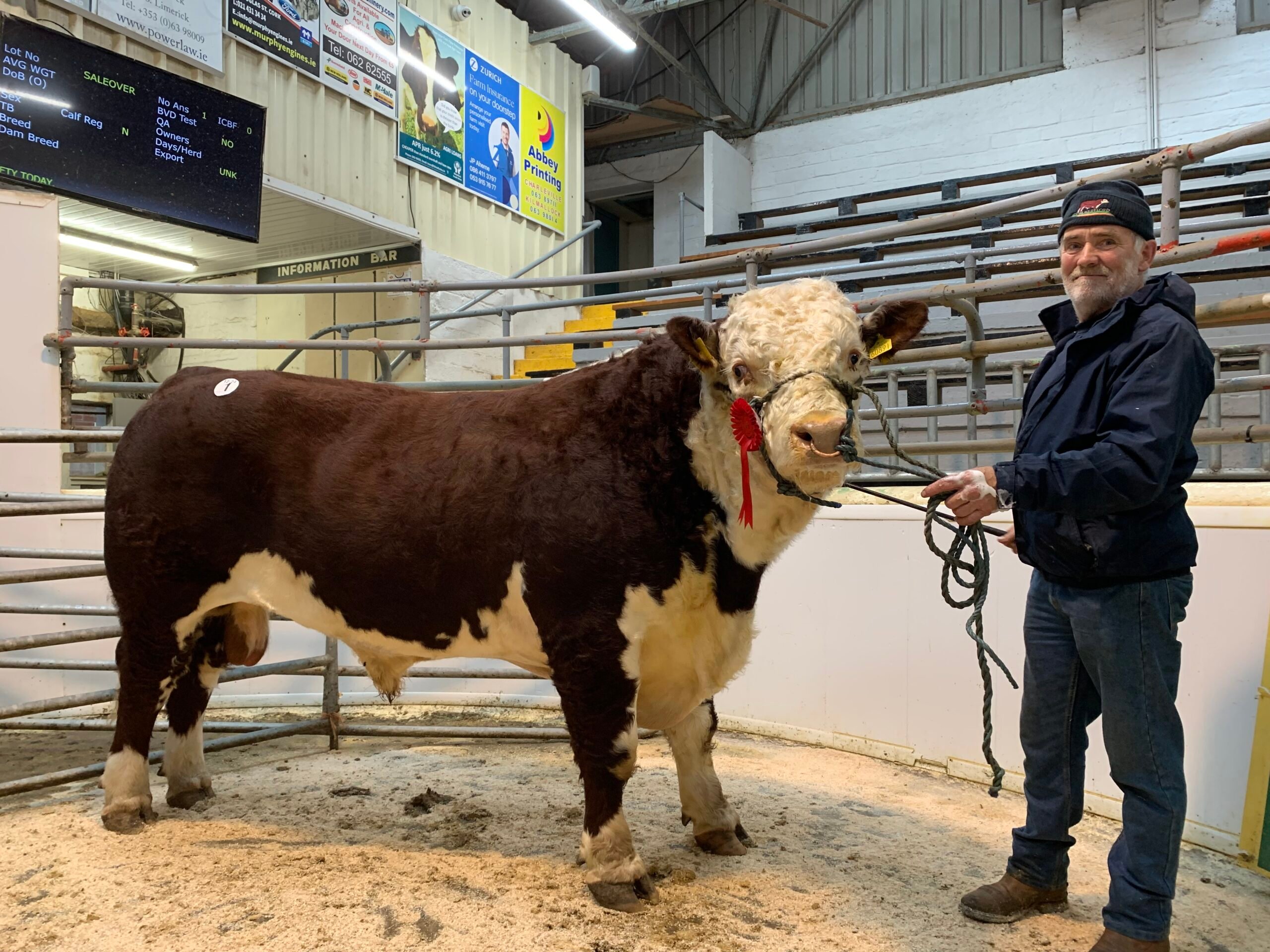 Rathnollag Lad 91 pictured with  Michael Conry