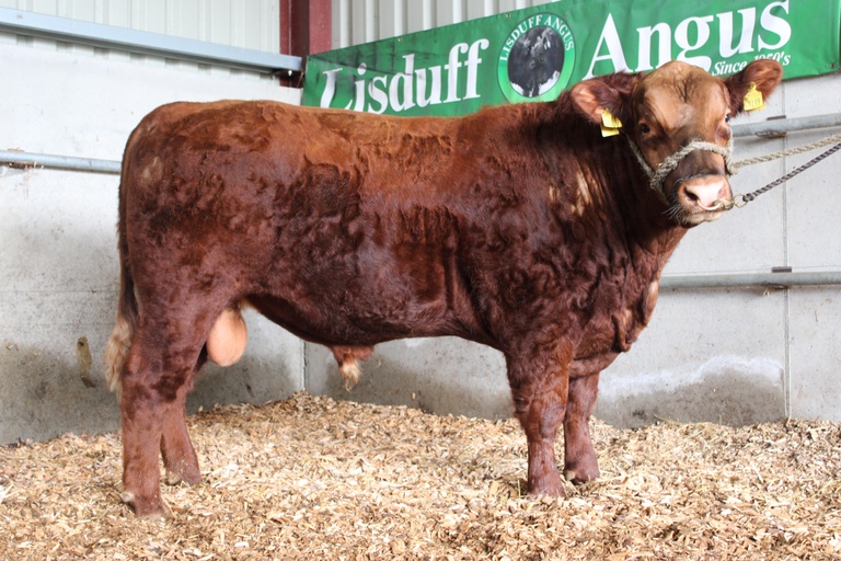 Lisduff Red Upgrade