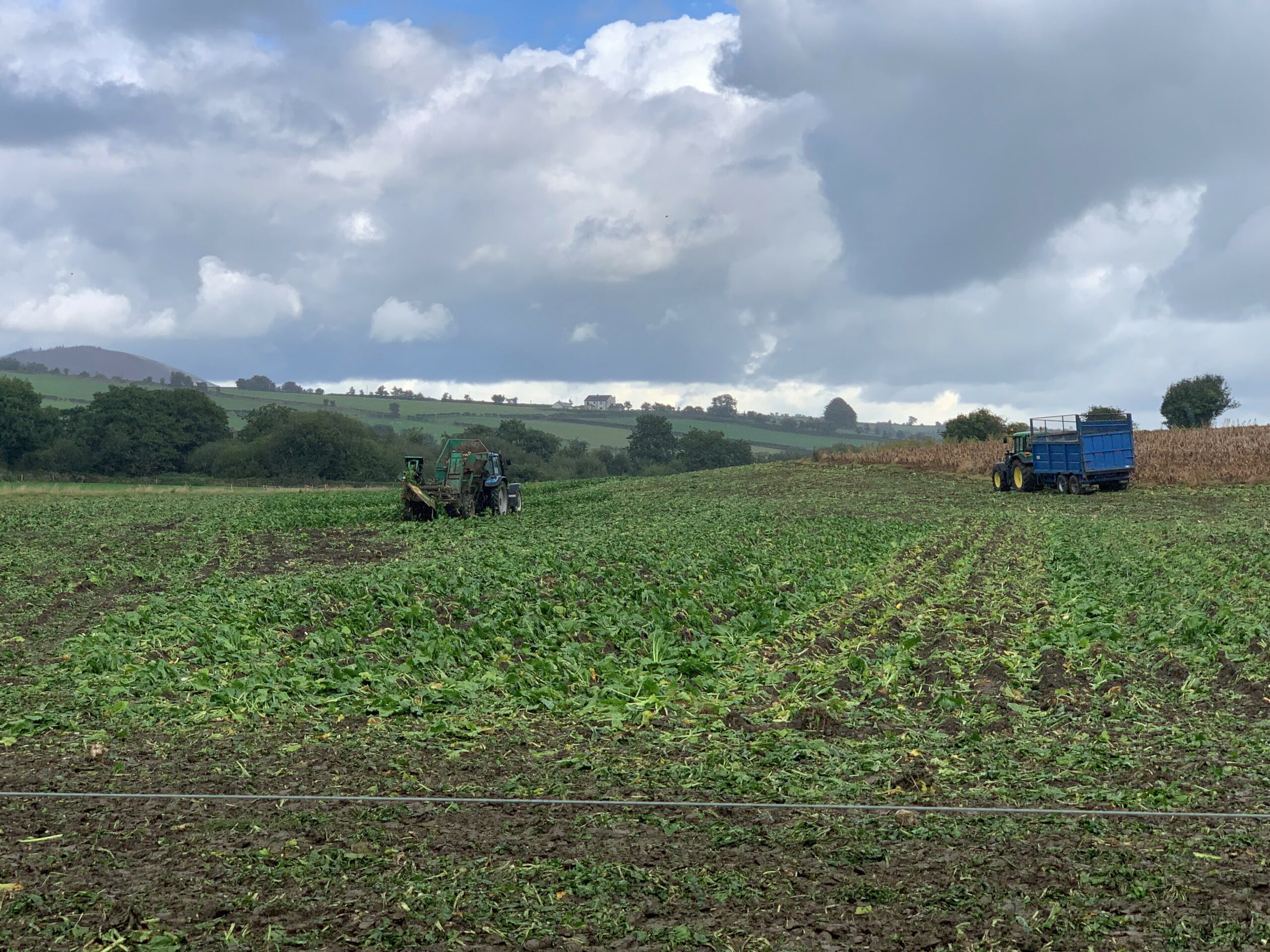 Harvesting underway