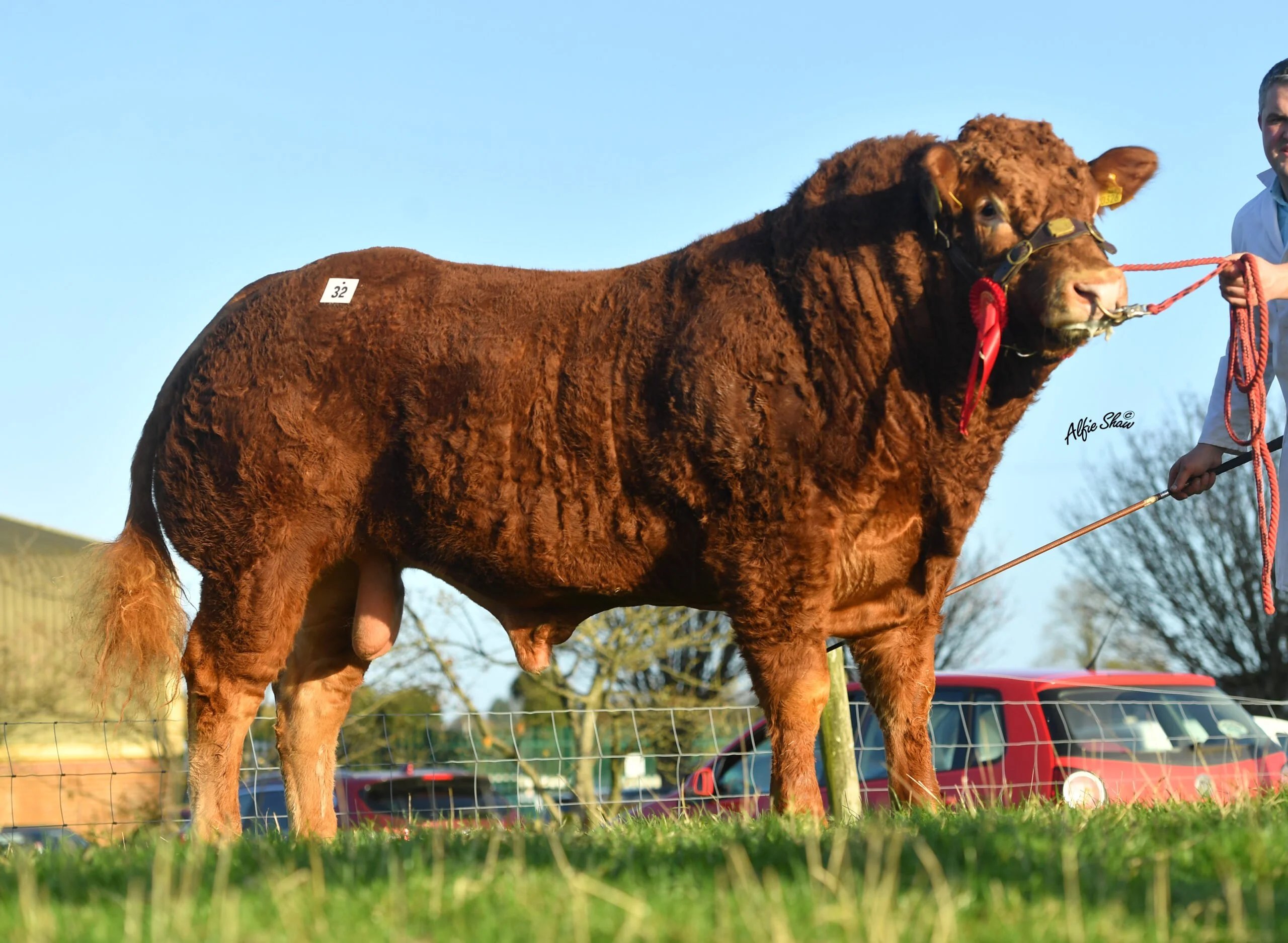 Liverpool Sonny went under the hammer for €6,000