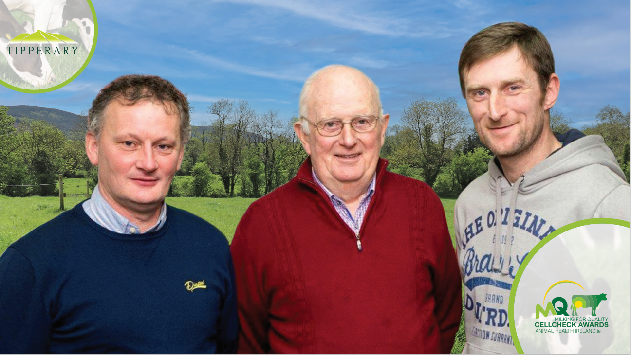 Tipperary winners Martin Ryan, Michael Slattery, and Eamon Slattery. Image source: AHI