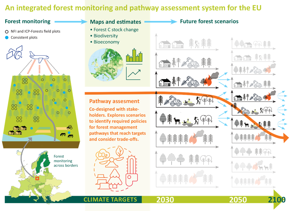 Image source: Treemetrics