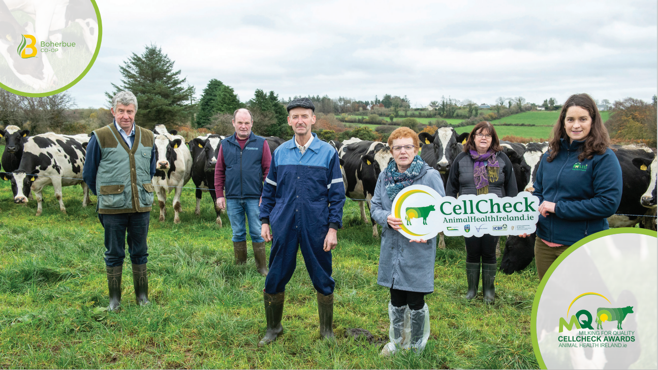 Boherbue winners Eoin and Mary O'Riordan with Derry Quinlan and Bridie Murphy  of Boherbue; Tadhg O'Leary, Boherbue chairperson; and Michelle McGrath of AHI.Image source: AHI