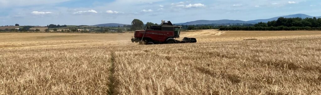 Spring barley recorded its highest ever average yield of 8.1t/ha in 2022. Image: Teagasc Harvest Report