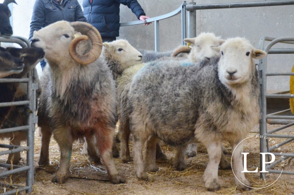 Image source: Lauren Payne Photography