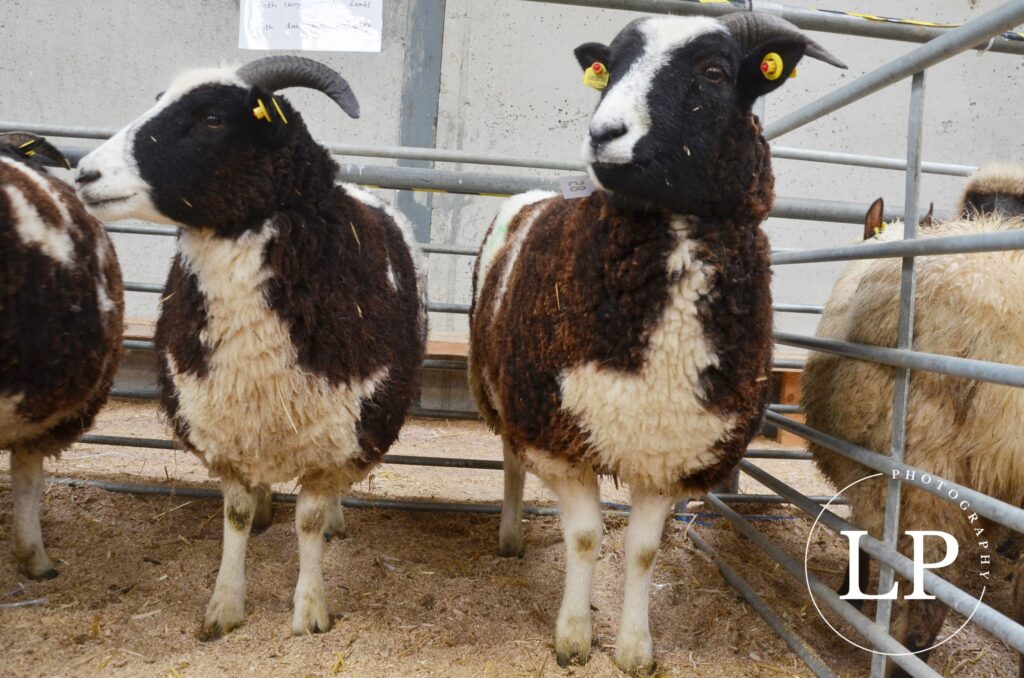 Image source: Lauren Payne Photography