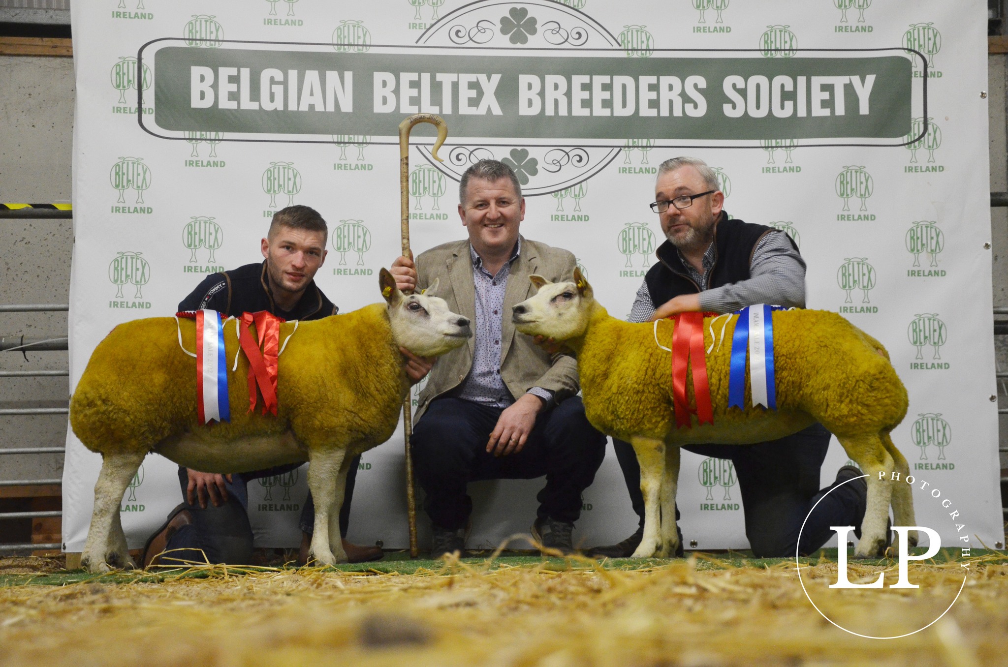 Champion and reserve champion