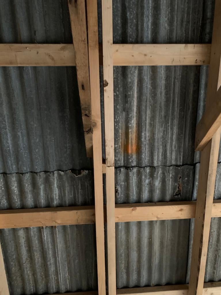 Twin rafters placed close together to provide a safe area for bats to roost