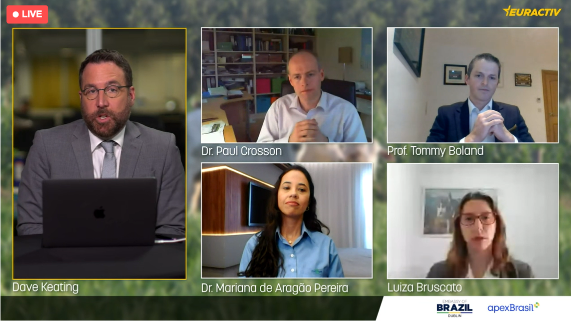 Panelists speaking on the webinar