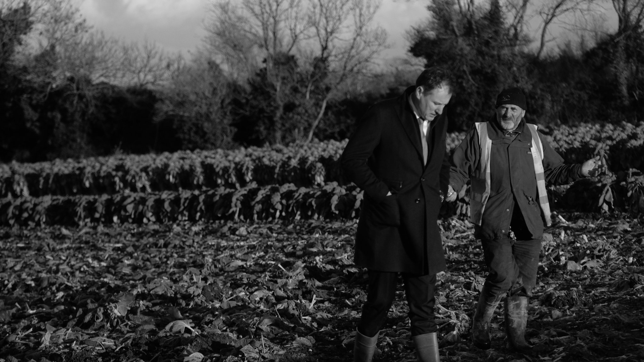 Minister McConalogue visiting a farm in Swords, Co. Dublin Source:@McConalogue