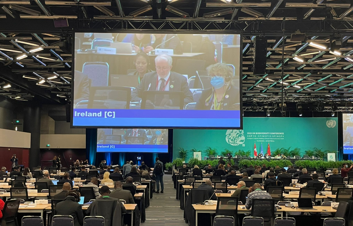 Minister Malcolm Noonan delivering a ministerial statement to COP15. Source @noonan_malcolm