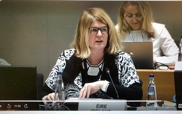 Ambassador Barbara Cullinane addressing the EU Environment Council