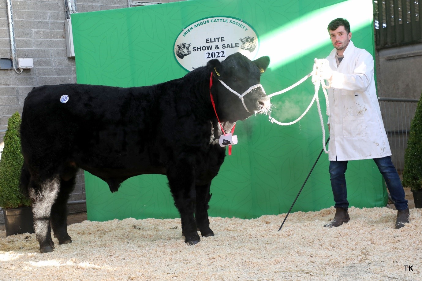 Niall Conaty, Corratubber, Co. Cavan, secured €5,300 for Ellens Urban (sired by Rawburn Boss Hogg N630)