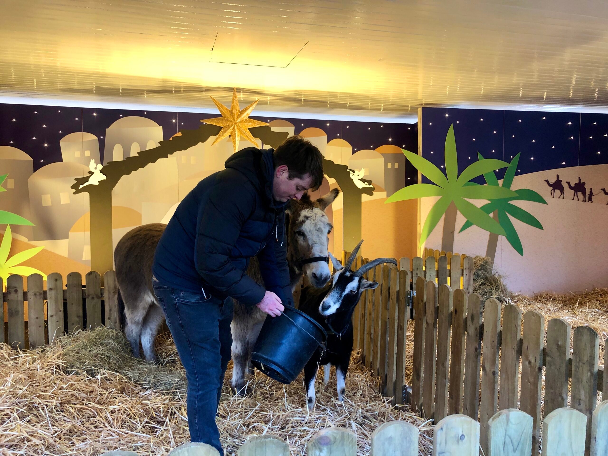Fionn Sherlock feeding Daisy the donkey and Lily the goat