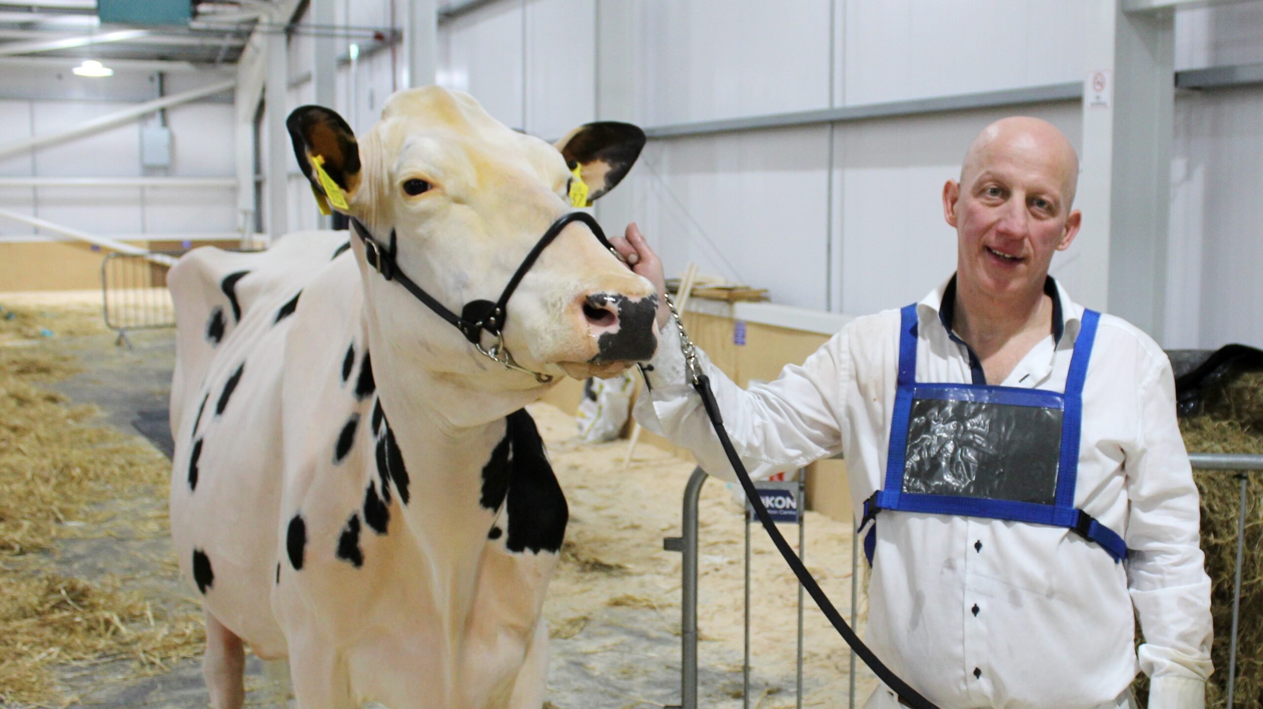John Dowling with the 2022 Royal Ulster Winter Fair Holstein Reserve Champion