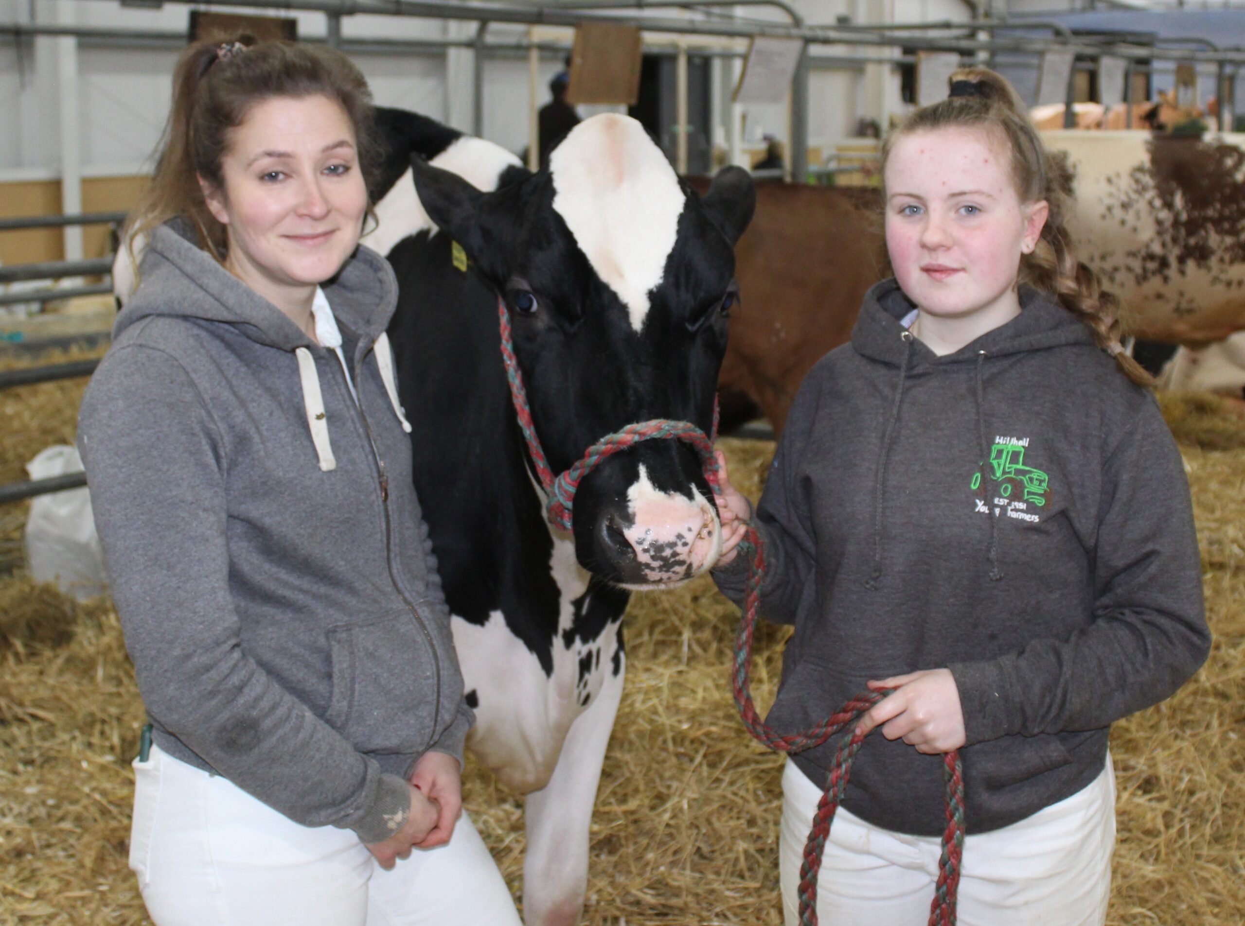 Getting ready for the ring: Jessica Hall (left) and Ava Montgomery with a heifer from the McLean family's Priestland herd