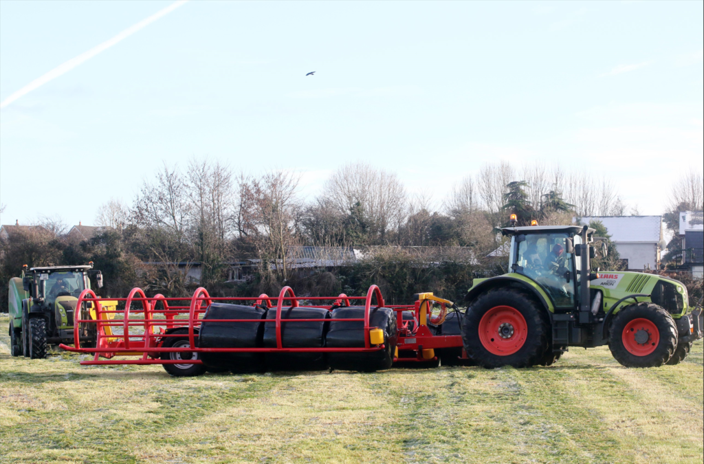 Image: Brendan Gleeson