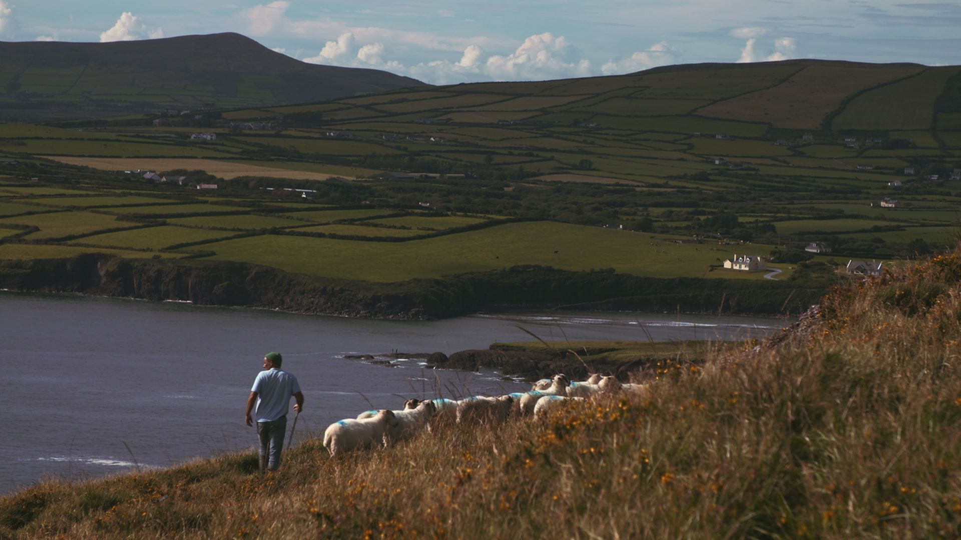 Padraig Dowd, sheep farmer, filmed by Chris Garrett