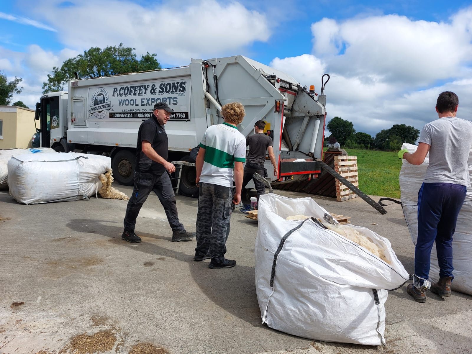 P. Coffey and Sons collecting the donated wool. Image: Ann Sheridan