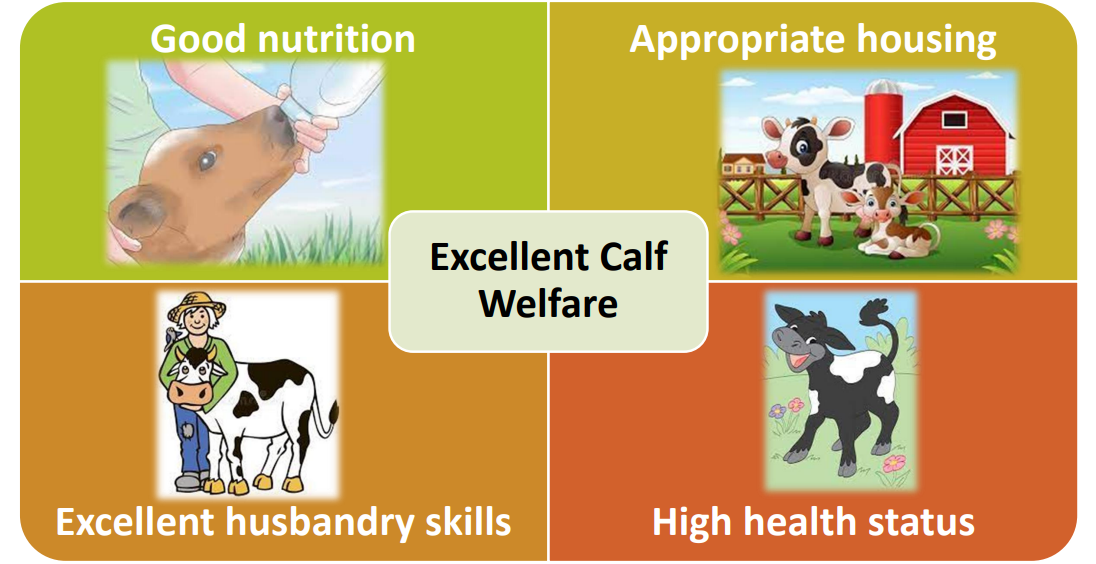 Image source: Teagasc