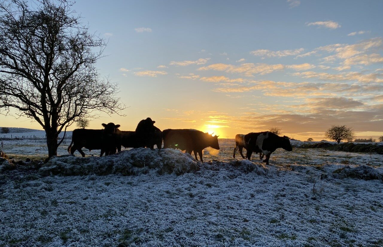 Met Éireann issues status yellow weather warning