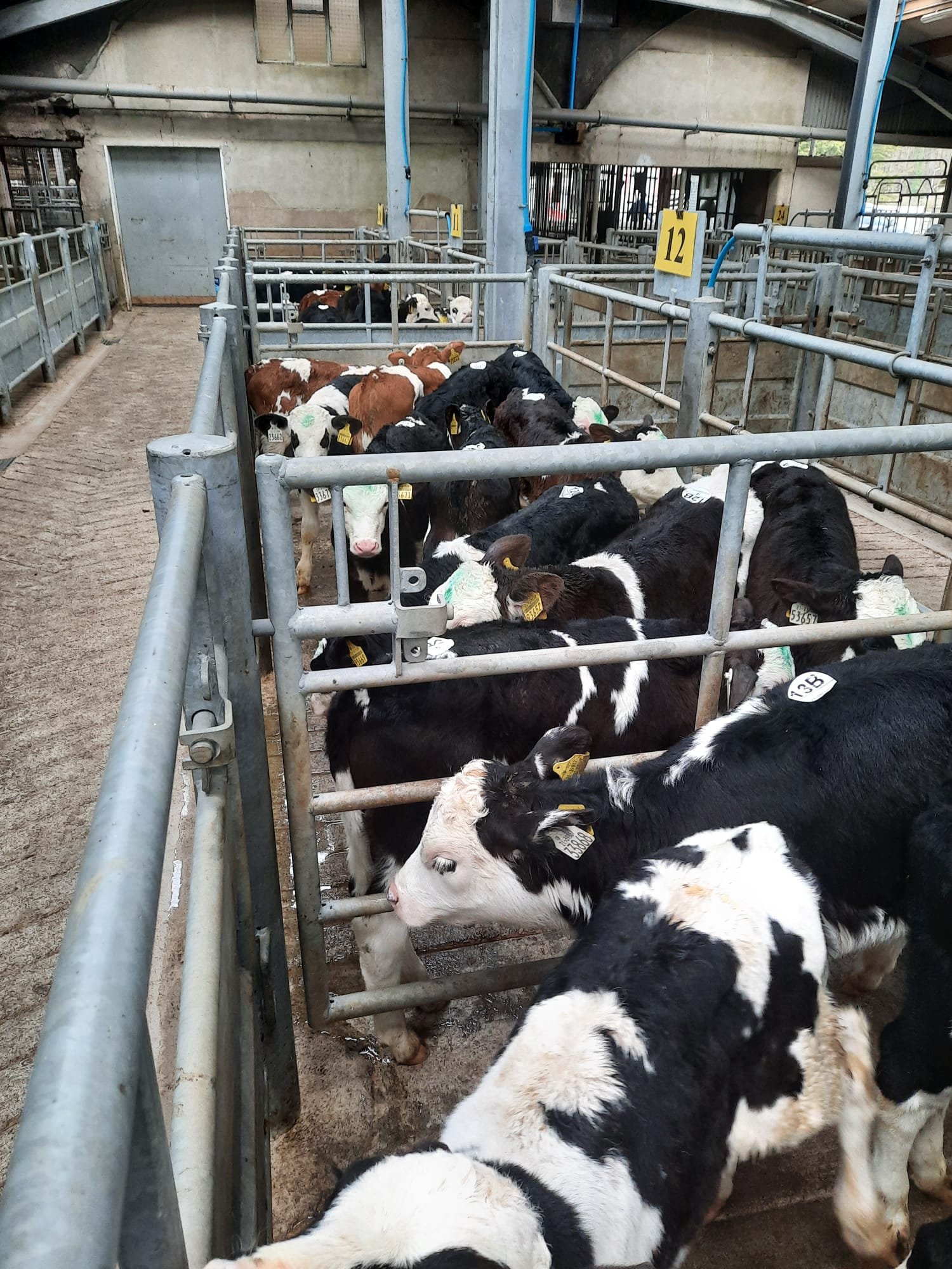 Image: Bandon Mart