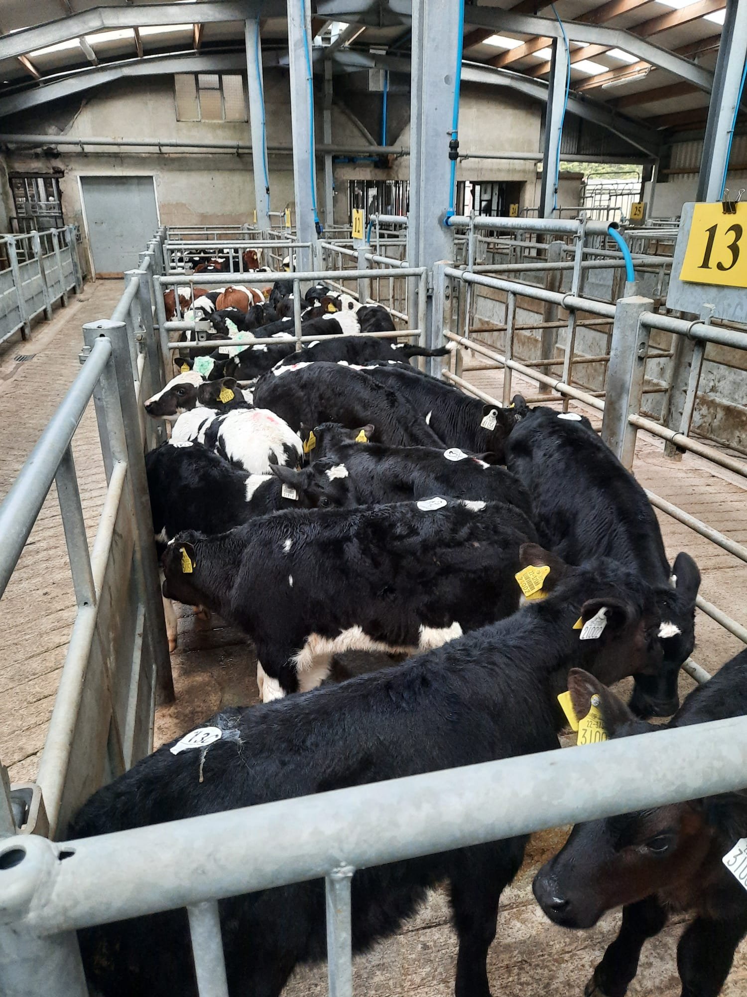 Image: Bandon Mart