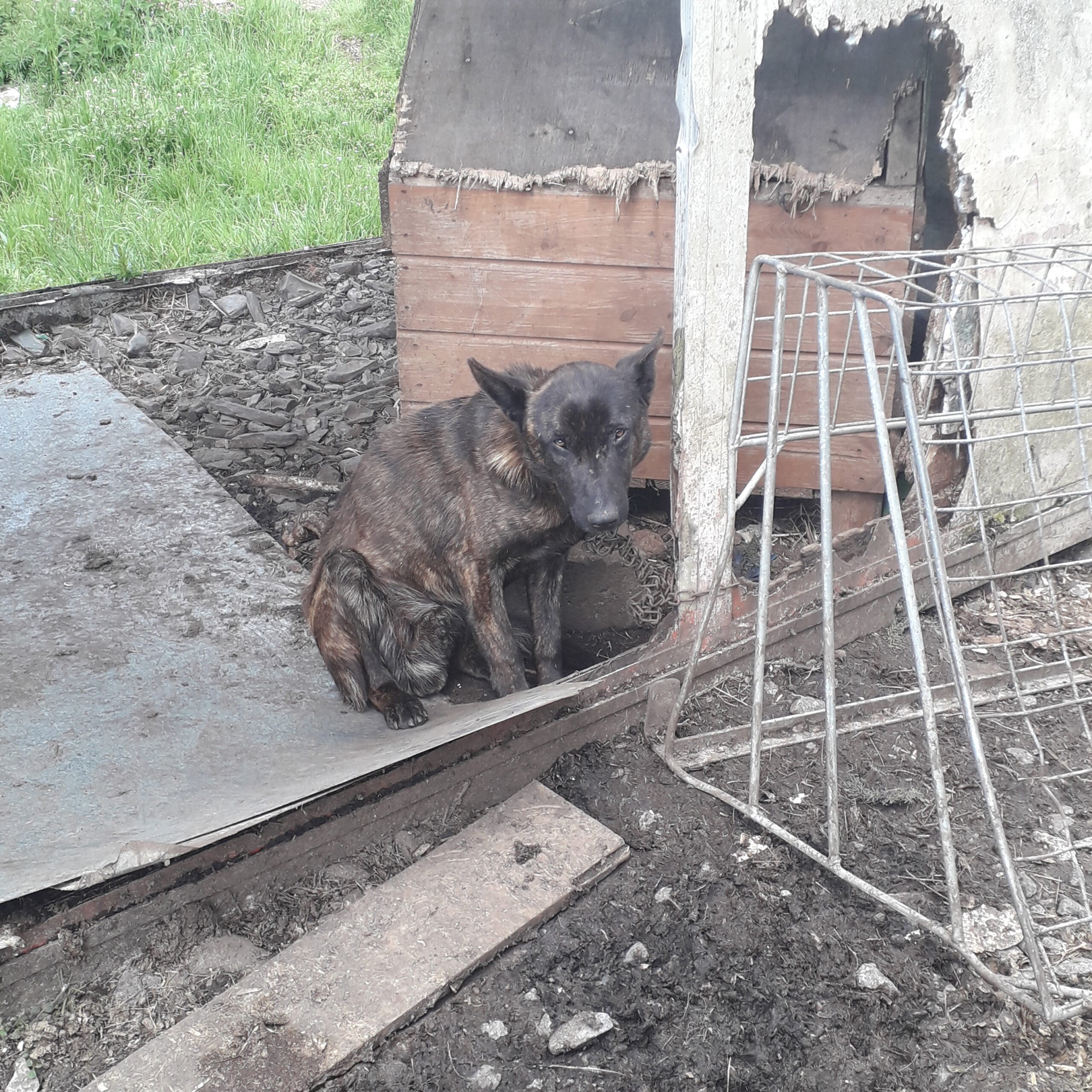 Image: ISPCA