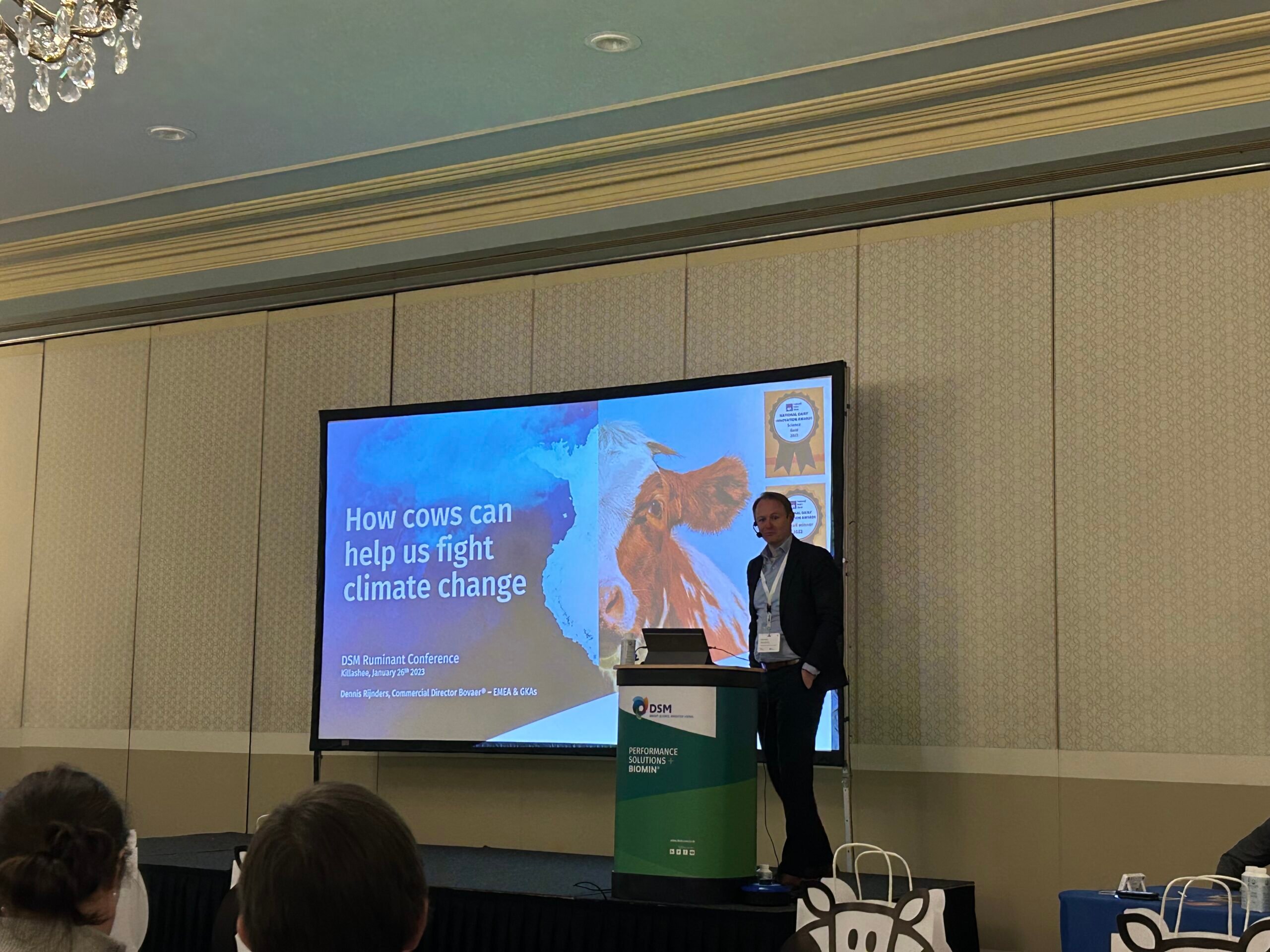 Dennis Rijnders from DSM