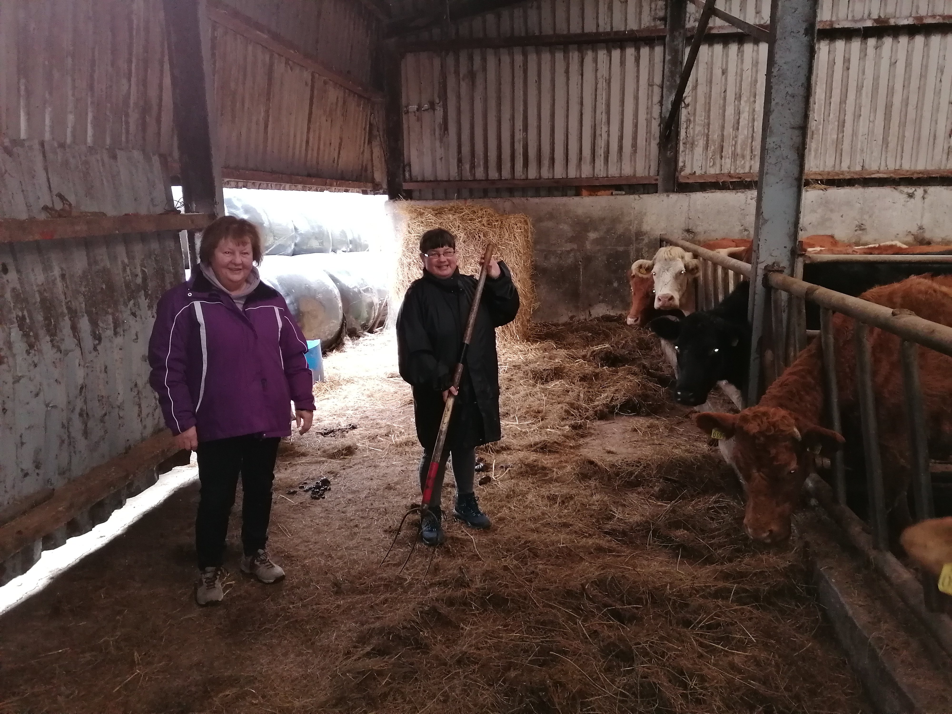 Breeda and Breda working on the farm in Glencar. Image: KSF