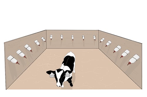 The hole-boarded area. Illustration: Kathryn J. McLellan via Bristol University