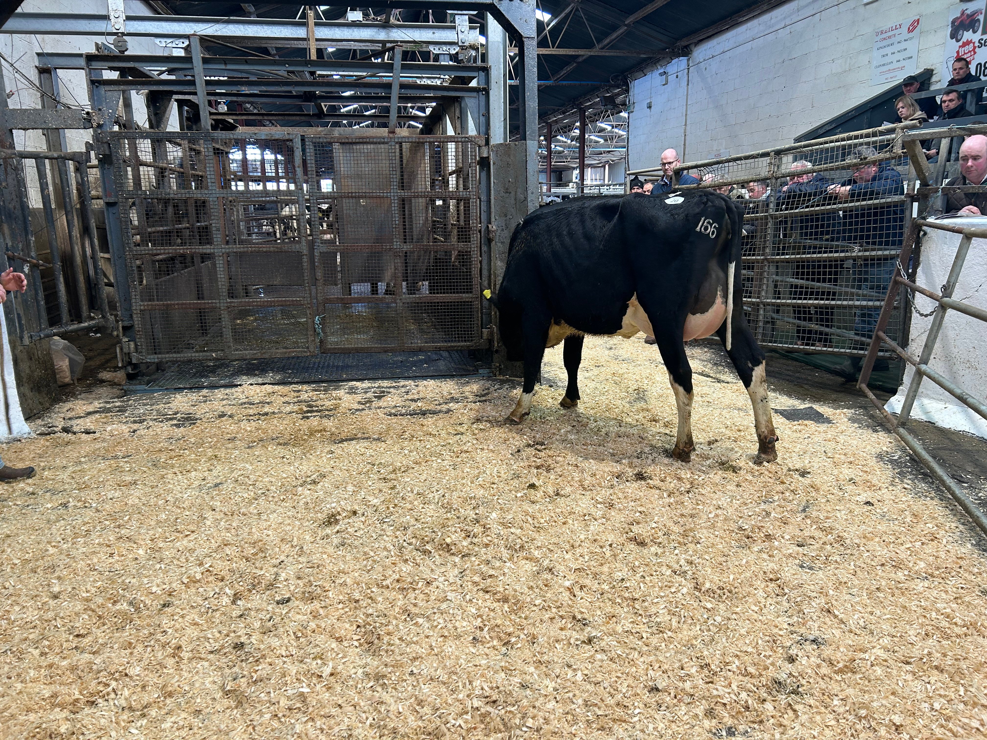 Lot 20, Cannontown Verona Gaseuse, sold for 3,650gns