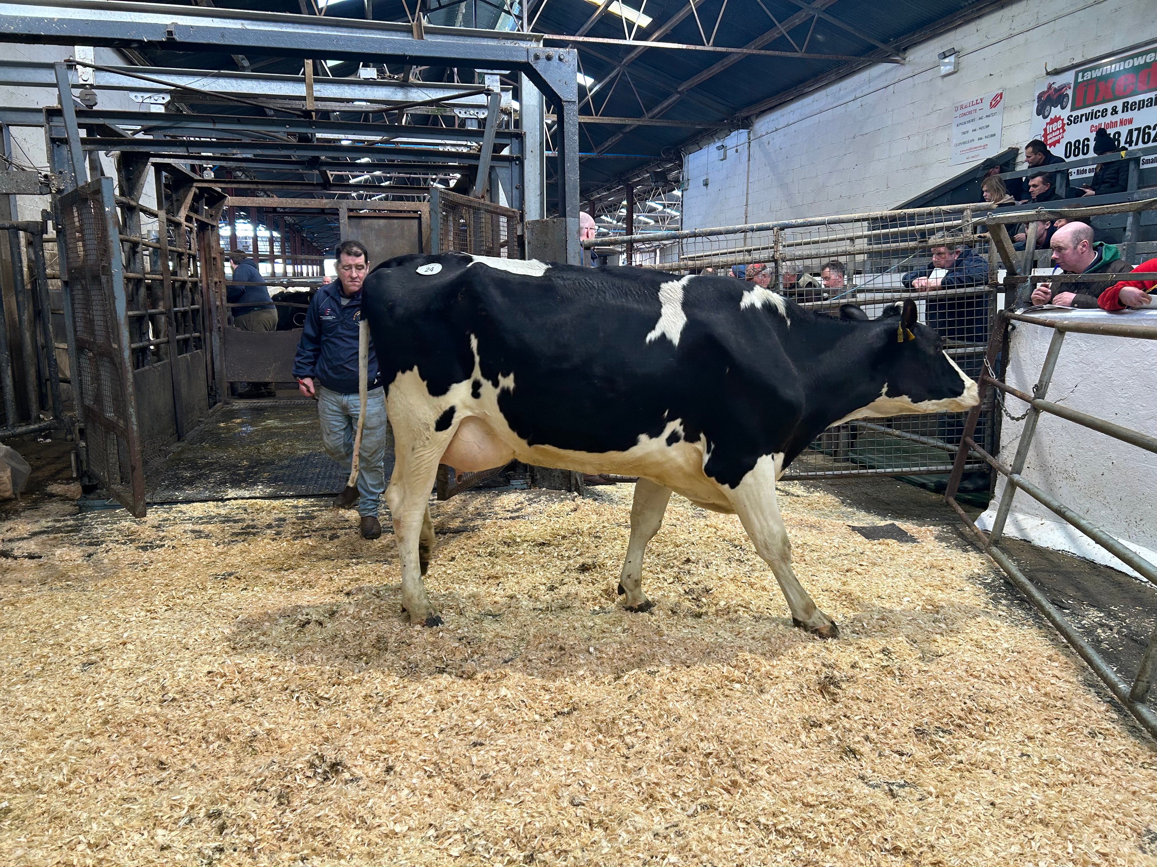 Lot 24, Cannontown Moose Lucarne, sold for 3,000gns