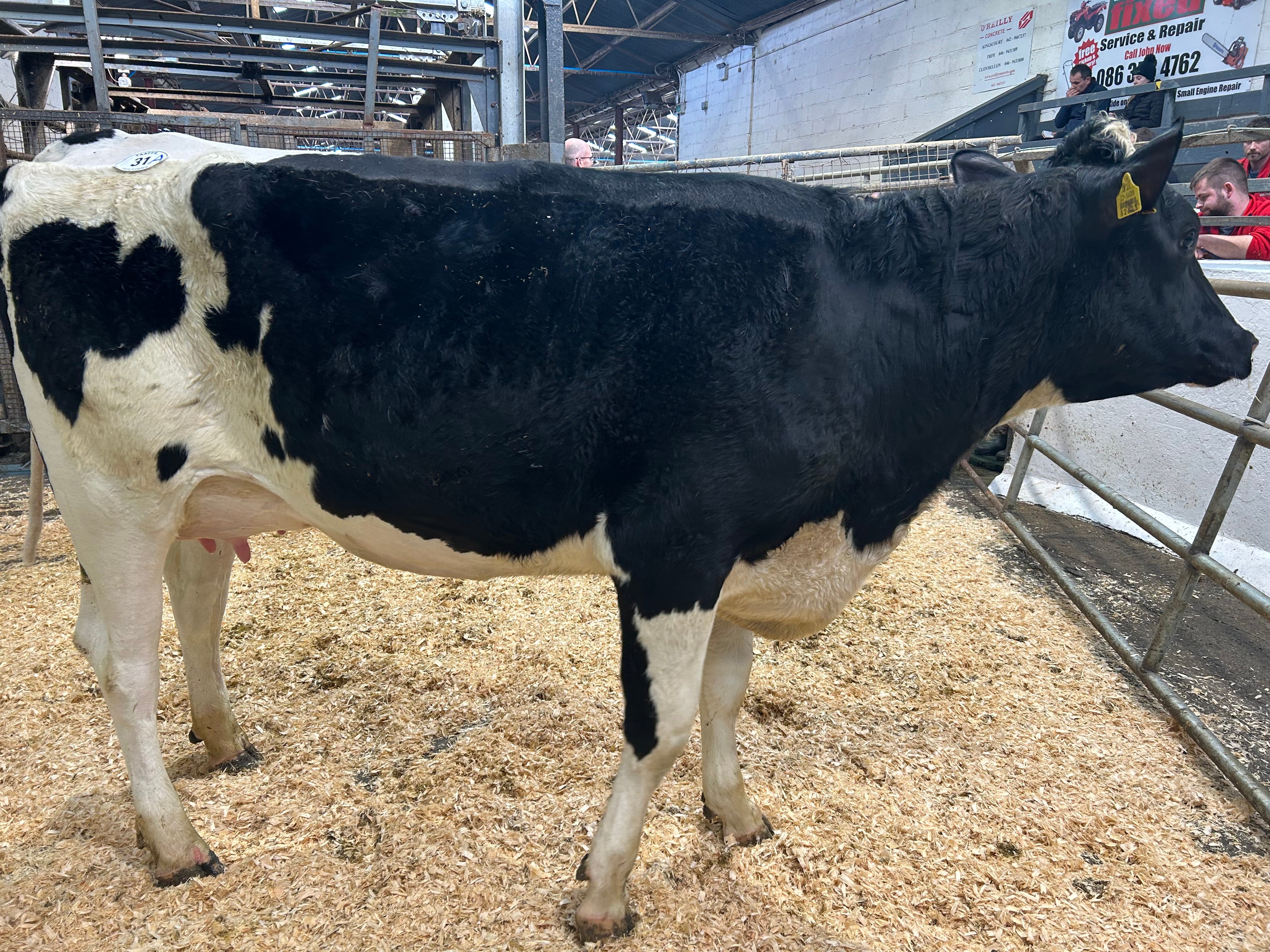Lot 31A sold for 3,300gns