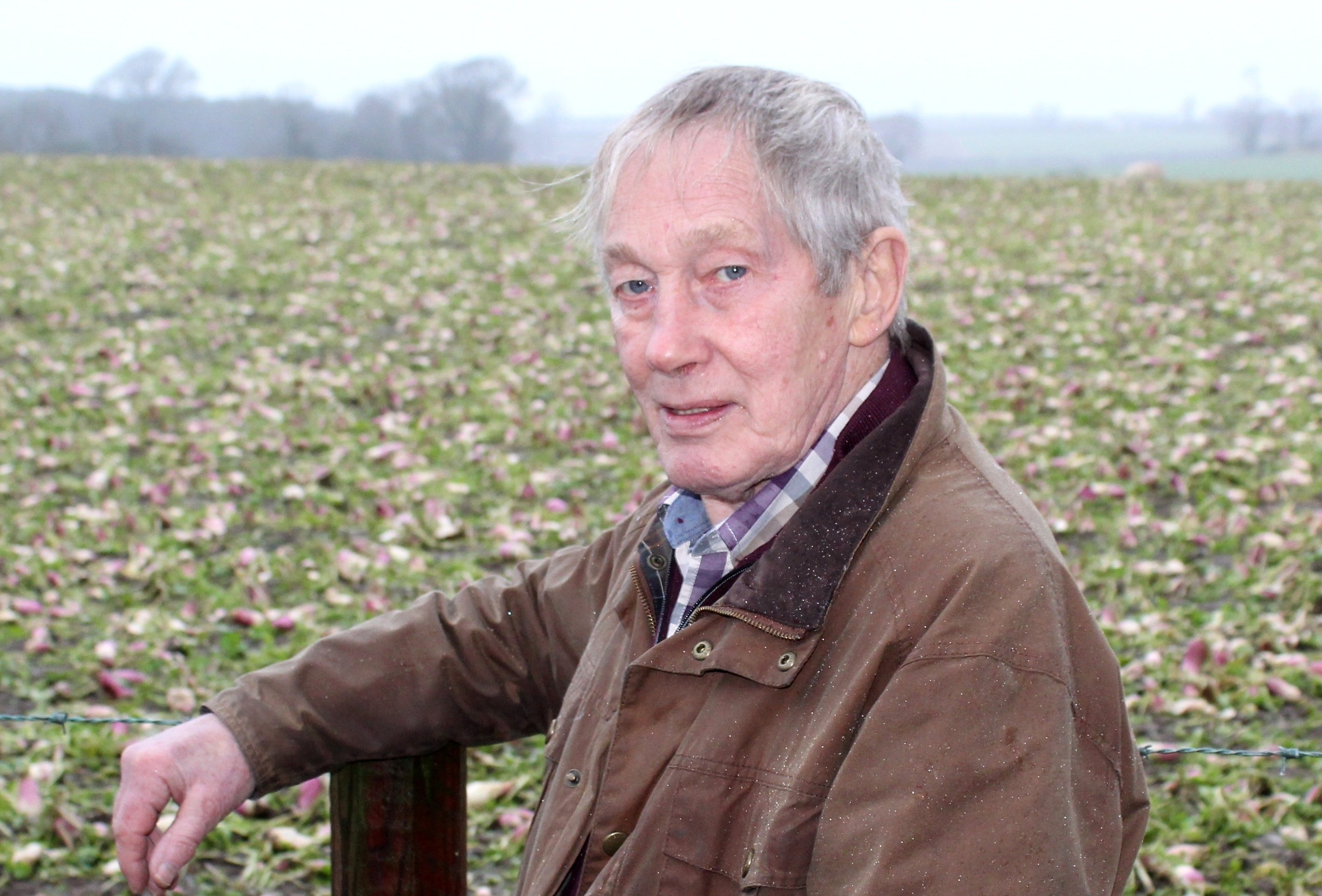 Co. Down cereal and maize grower, Allan Chambers